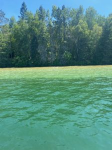 TURTLE LAKE BEACH HOUSE